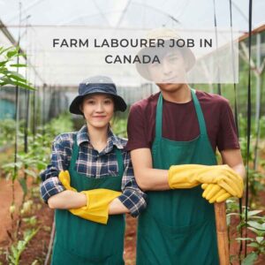 Farm Labourer Job in Canada